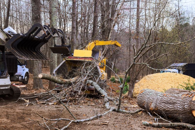 Dead Tree Removal in Bucks County, PA