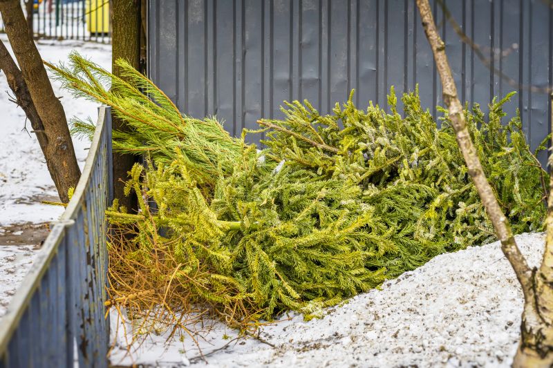 Fall Trimming Advice